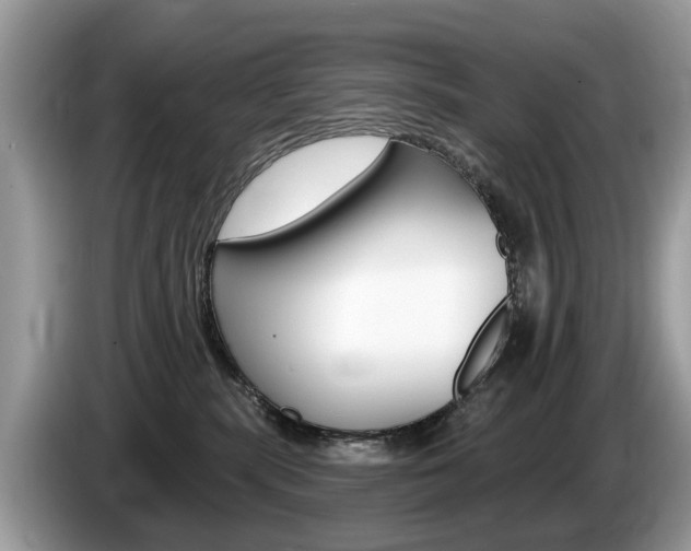 X0000087610283200704271106