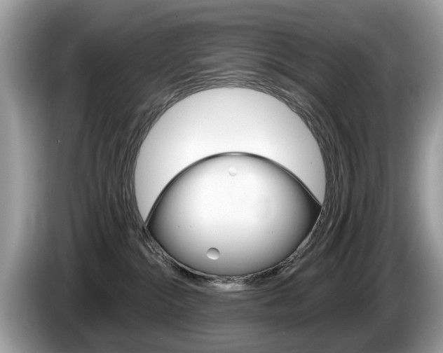 X0000087610284200704271106