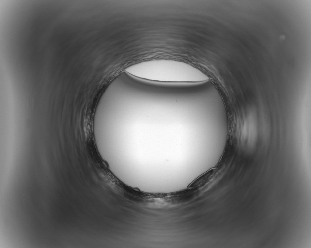 X0000087610285200704271106