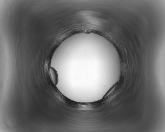X0000087610286200704271106