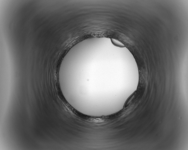X0000087610287200704271106