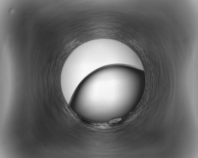 X0000087610288200704271106