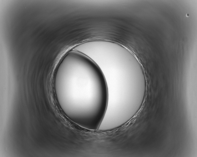 X0000087610289200704271106