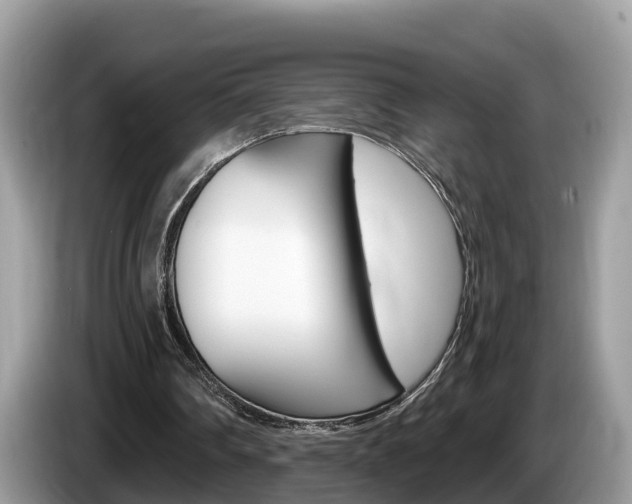 X0000087610290200704271106