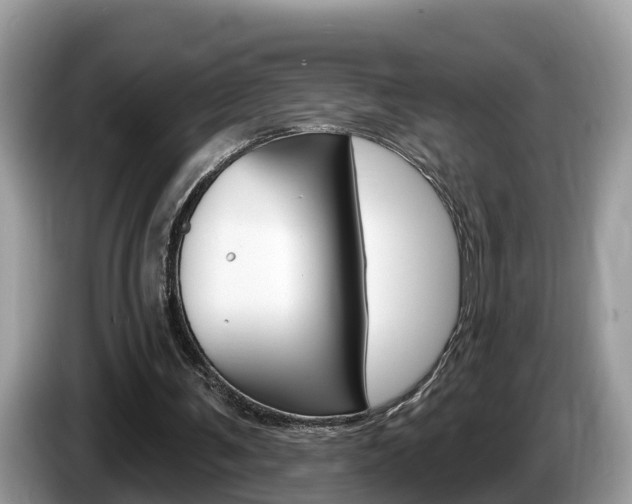 X0000087610291200704271106