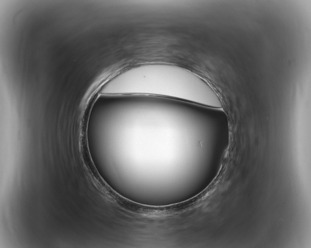 X0000087610293200704271106