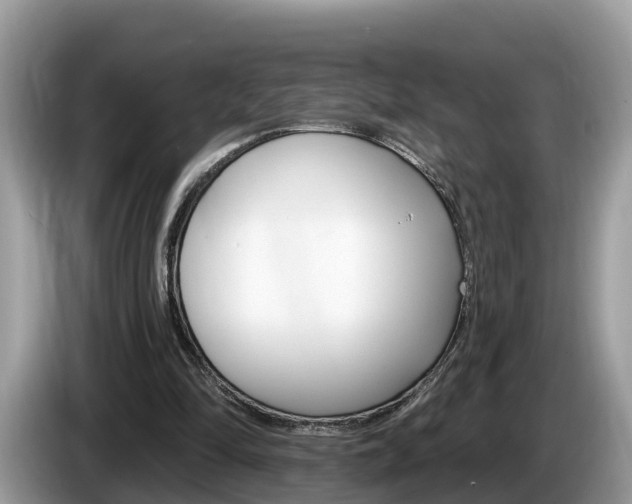 X0000087610294200704271106