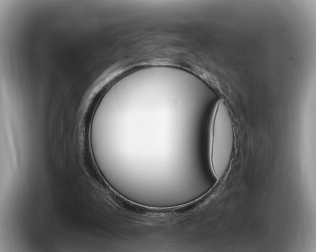 X0000087610295200704271106