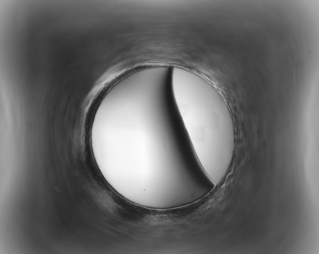 X0000087610296200704271105