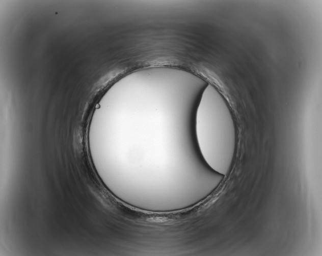 X0000087610298200704271105