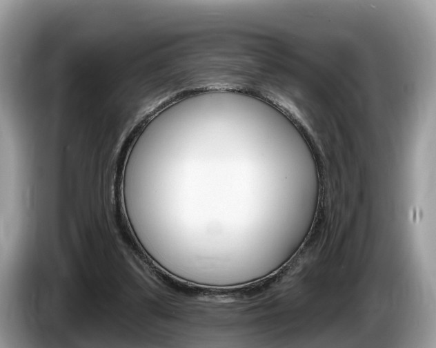X0000087610299200704271105