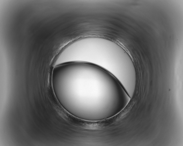 X0000087610301200704271105