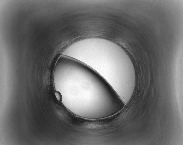 X0000087610303200704271105