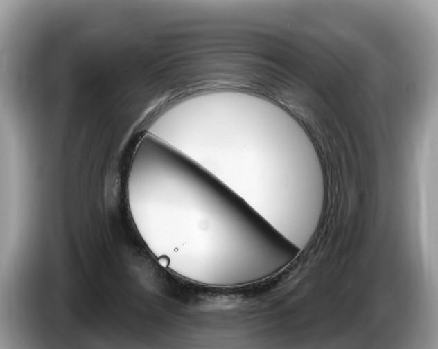 X0000087610304200704271105