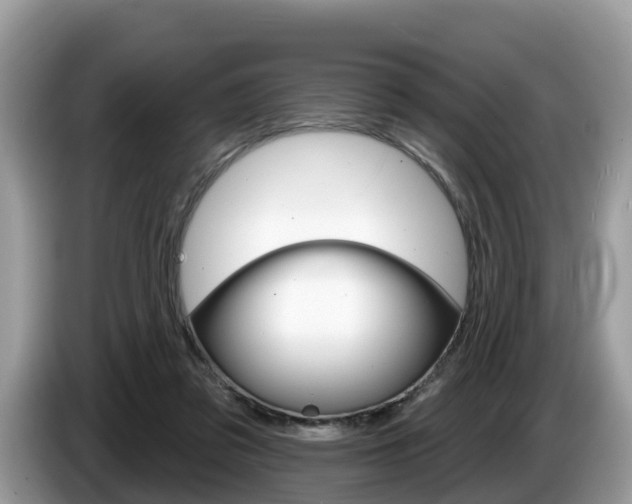X0000087610309200704271105