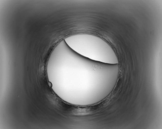 X0000087610314200704271105