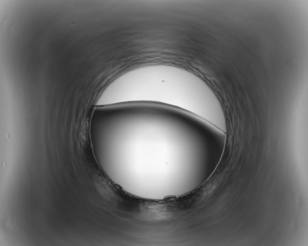 X0000087610325200704271105