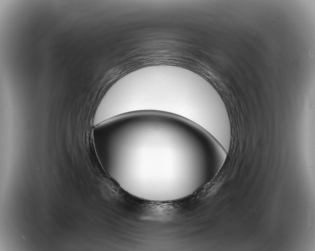 X0000087610333200704271105