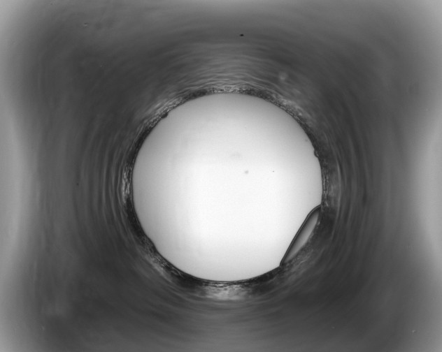 X0000087610334200704271105