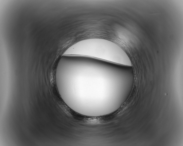 X0000087610335200704271105