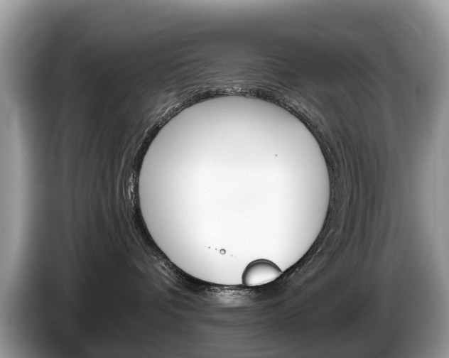 X0000087610336200704271105