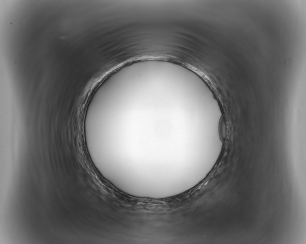 X0000087610337200704271104