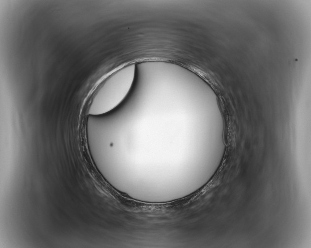 X0000087610338200704271104