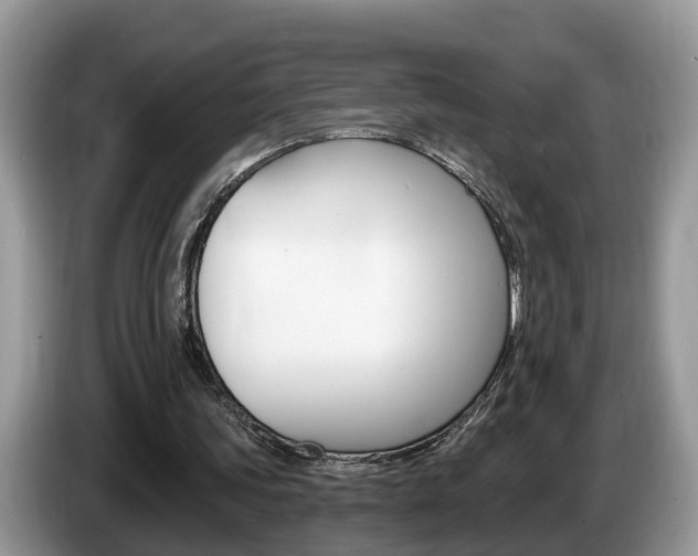X0000087610339200704271105