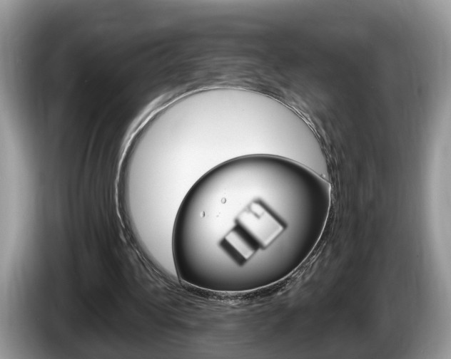 X0000087610340200704271105