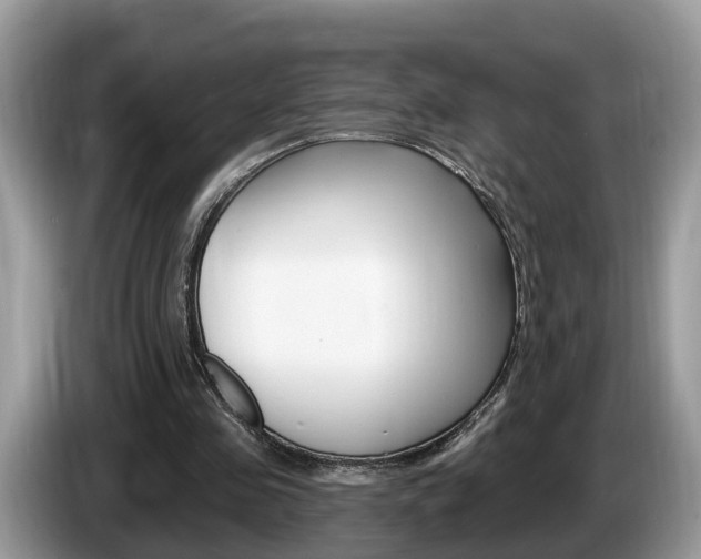 X0000087610341200704271105