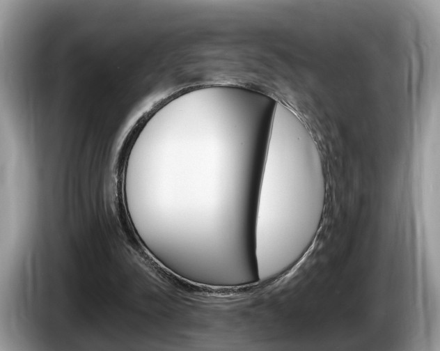 X0000087610342200704271105