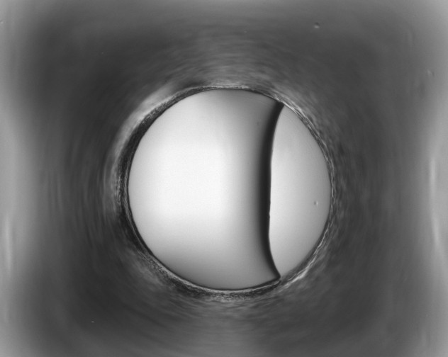 X0000087610343200704271105