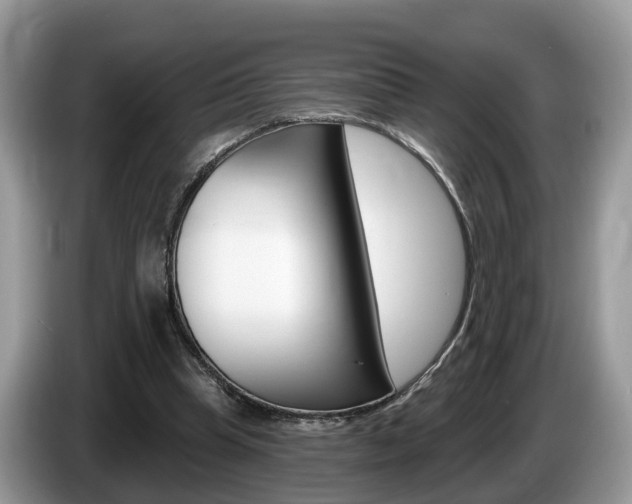 X0000087610345200704271105