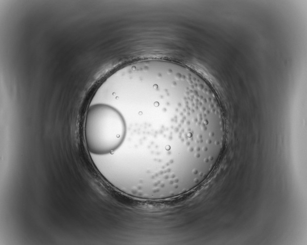 X0000087610346200704271105