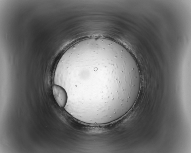 X0000087610347200704271105
