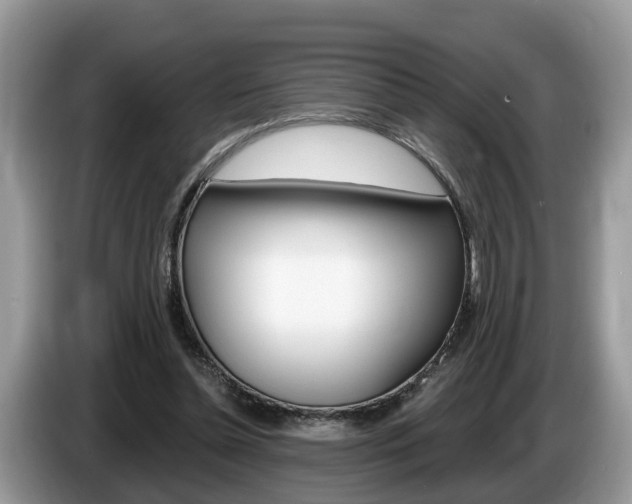 X0000087610348200704271105