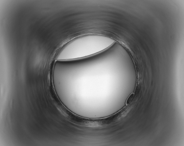 X0000087610349200704271105