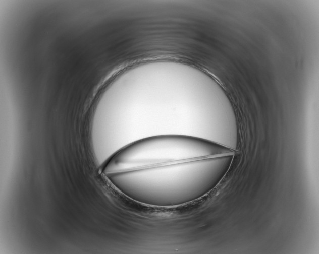 X0000087610350200704271105