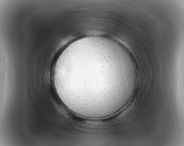 X0000087610351200704271105