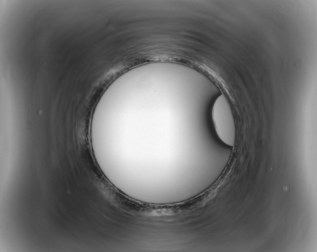 X0000087610353200704271105