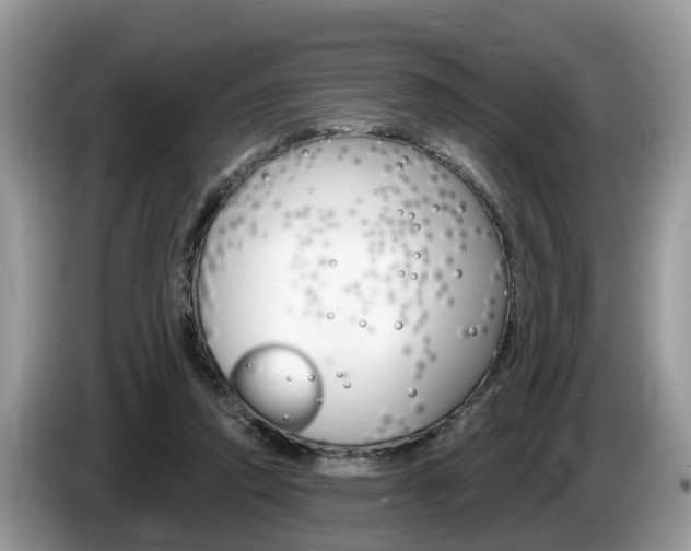 X0000087610354200704271105