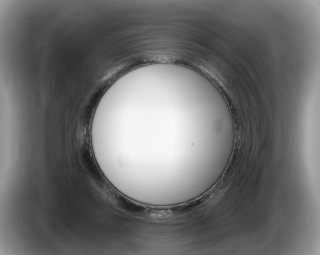 X0000087610355200704271105