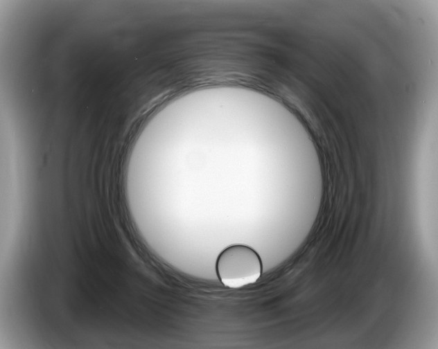 X0000087610356200704271105