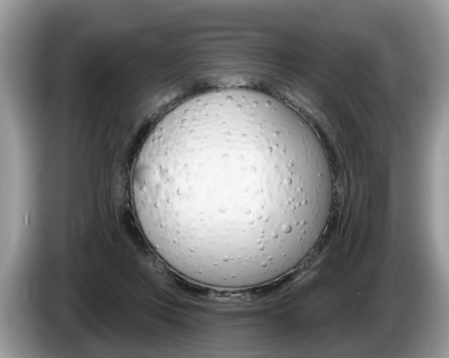 X0000087610359200704271105