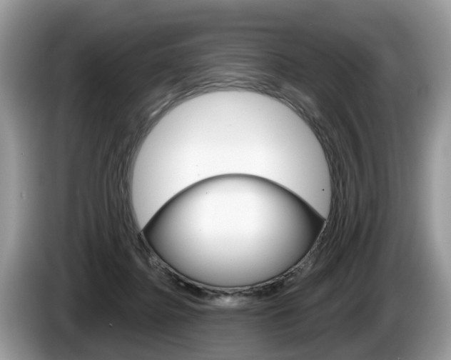 X0000087610364200704271105