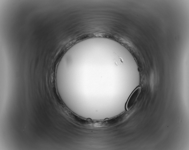 X0000087610365200704271105