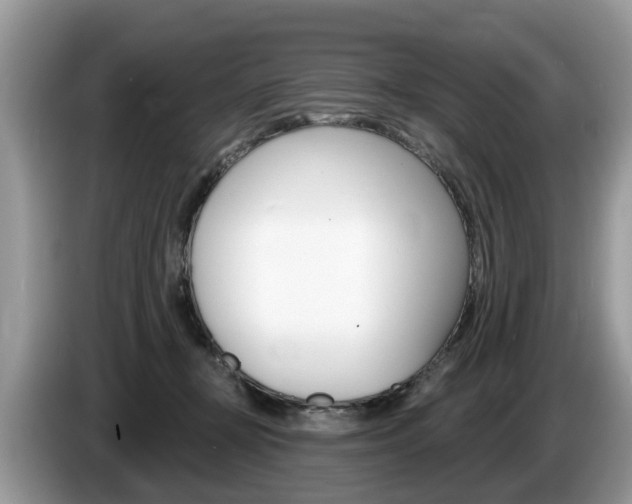 X0000087610367200704271105