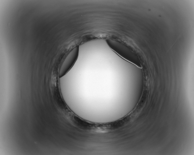 X0000087610368200704271105