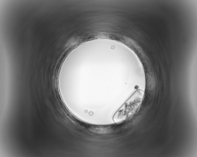 X0000087610370200704271105