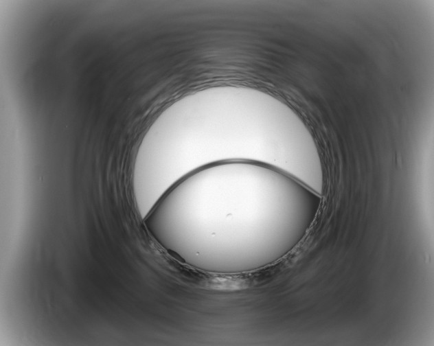 X0000087610376200704271105